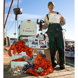 Premium Lobster Club