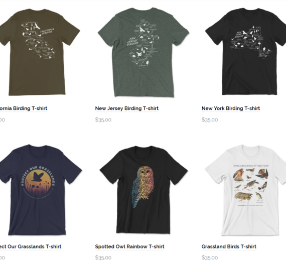Bird Collective T-Shirt Designs and Website Experience | Brand Experience Project