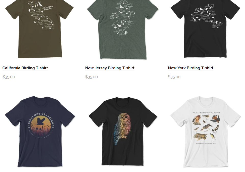 Bird Collective T-Shirt Designs and Website Experience | Brand Experience Project